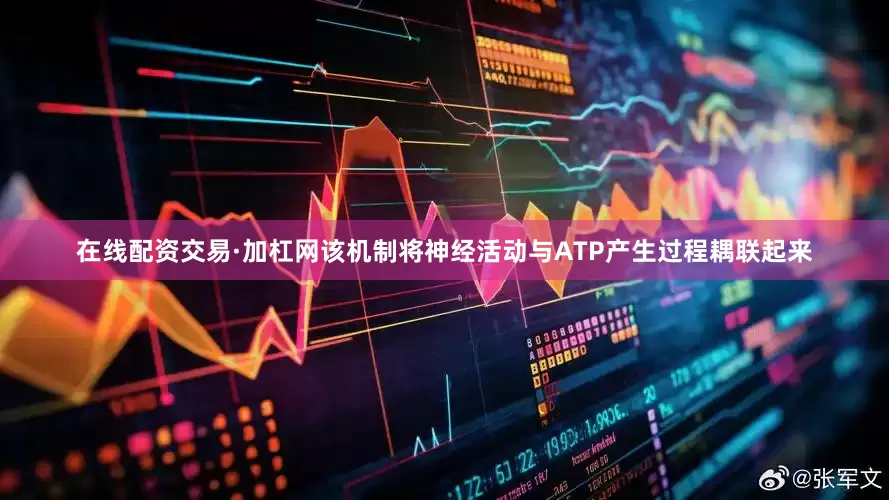 在线配资交易·加杠网该机制将神经活动与ATP产生过程耦联起来