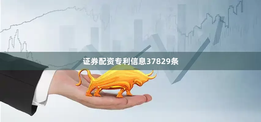 证券配资专利信息37829条