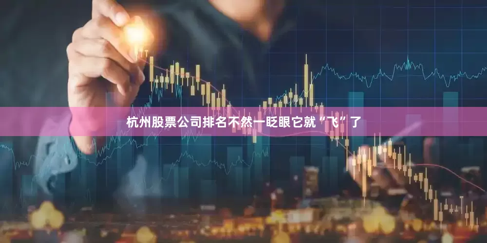 杭州股票公司排名不然一眨眼它就“飞”了