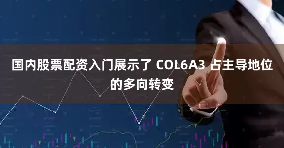 国内股票配资入门展示了 COL6A3 占主导地位的多向转变