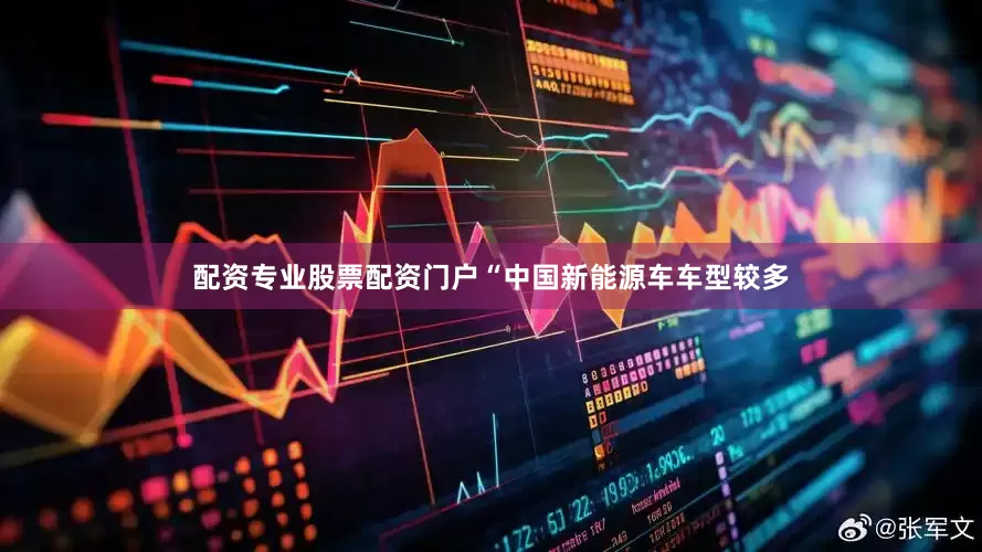 配资专业股票配资门户“中国新能源车车型较多