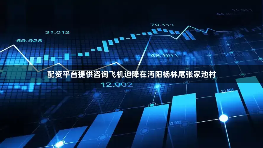 配资平台提供咨询飞机迫降在沔阳杨林尾张家池村